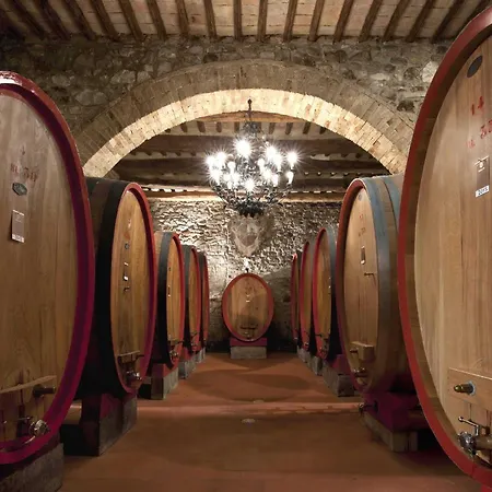 Colle Al Matrichese - Historic Winery-2
